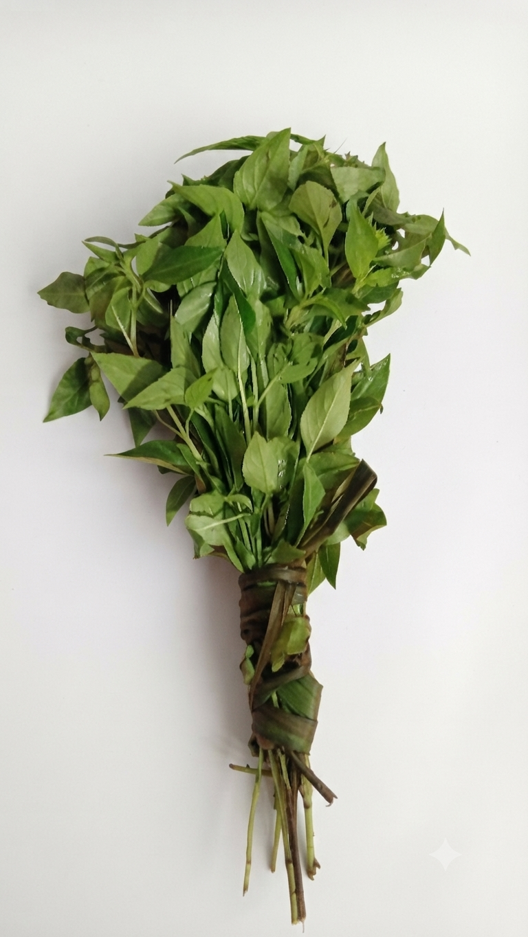 lemon basil (curry leaf)