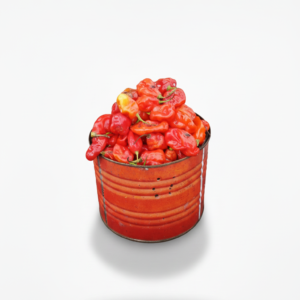 Doormart Grocery
