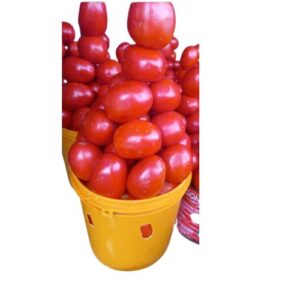 Fresh tomatoes 1 paint