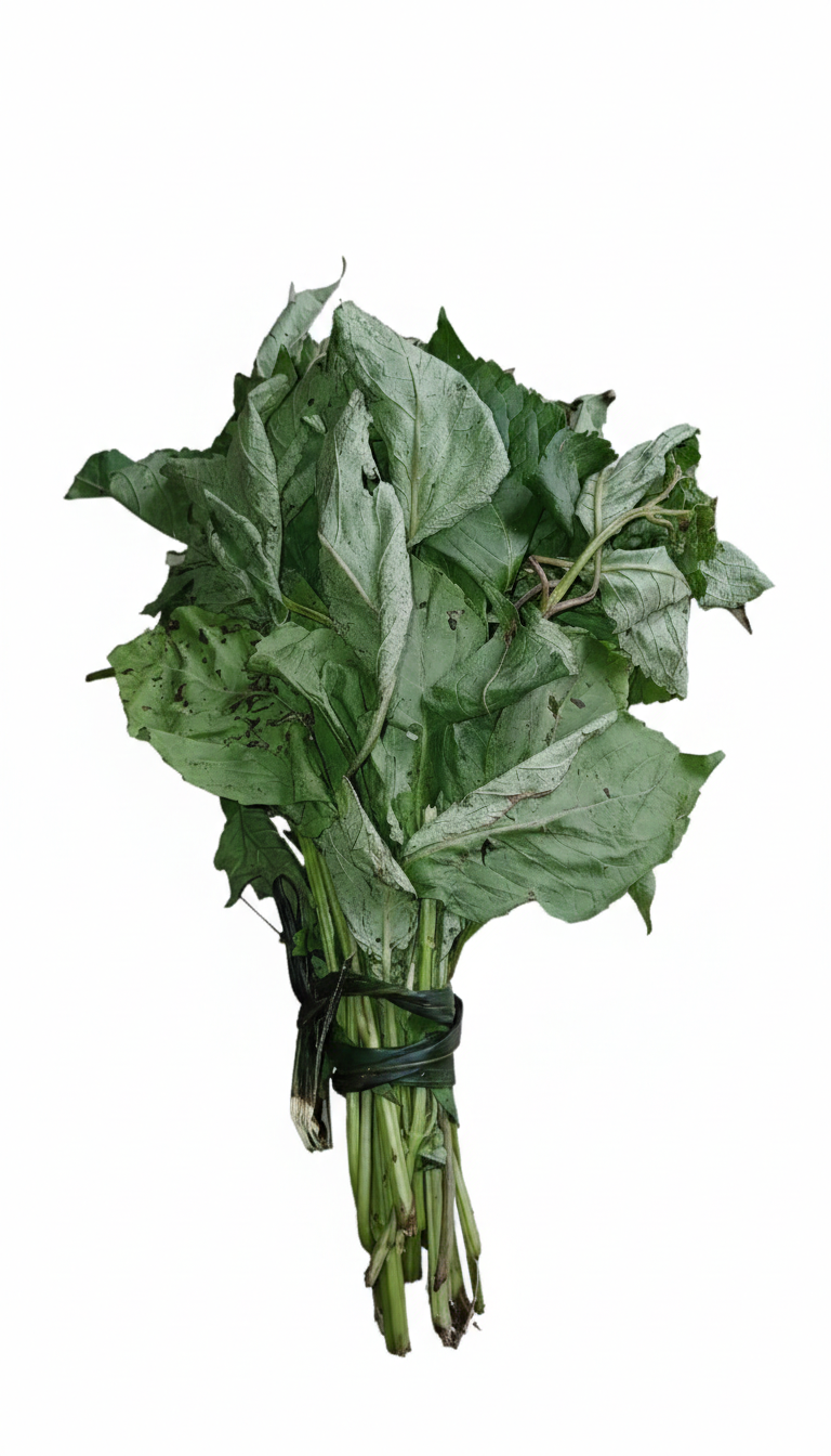scent leaf (nchanwu/efirin)